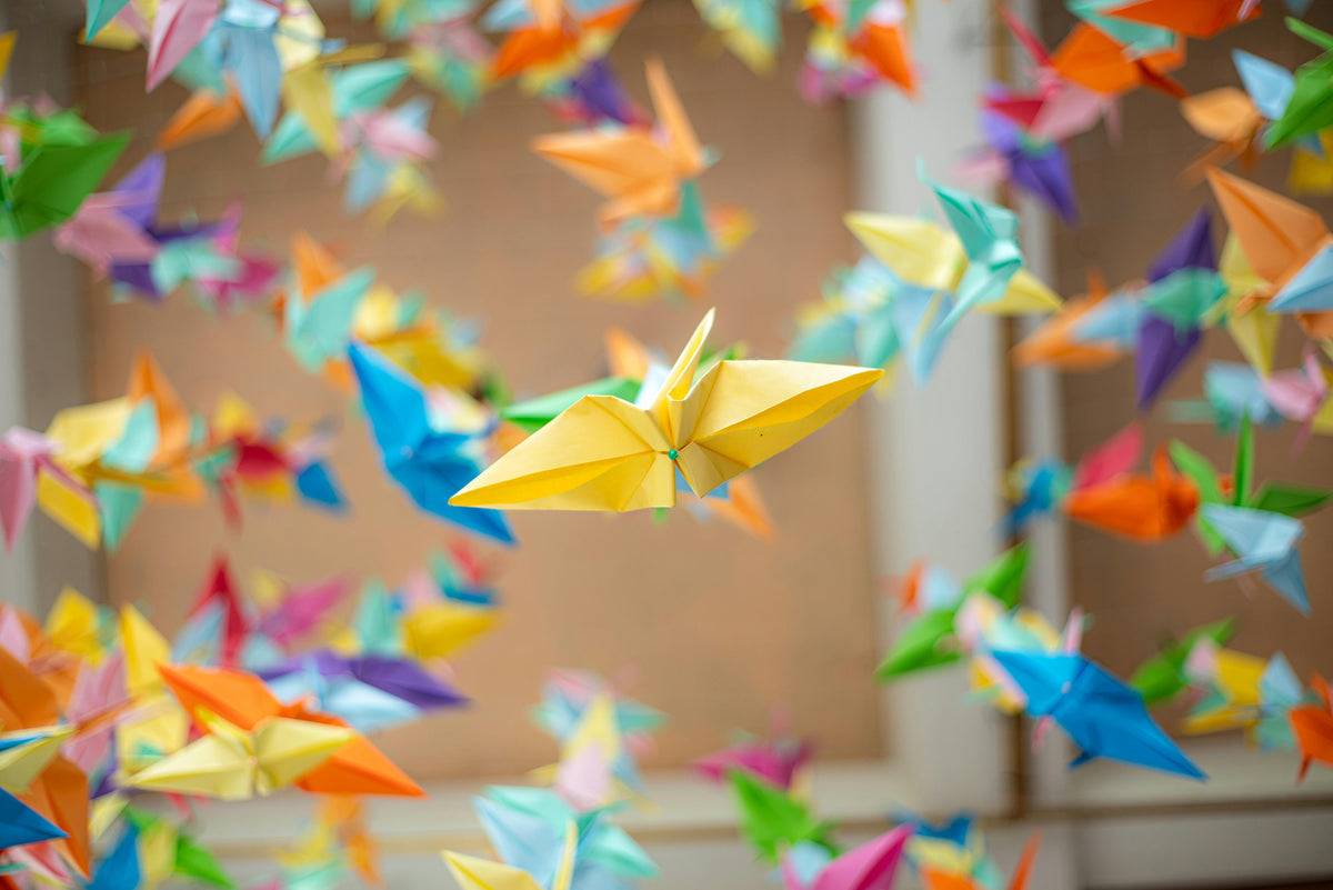 Papierhobby's