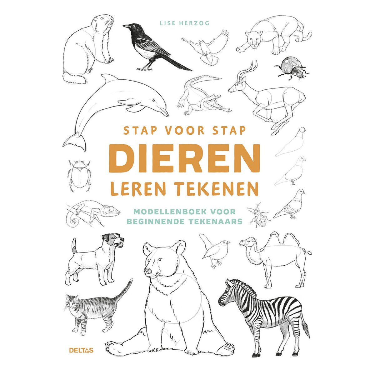 Stap voor stap dieren leren tekenen
