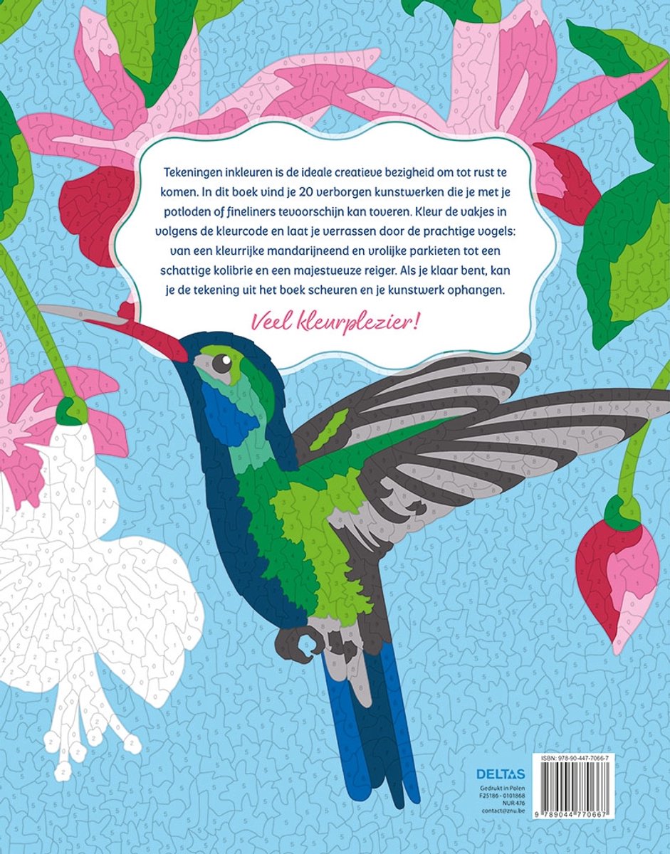Kleurplaten op nummer - Vogels