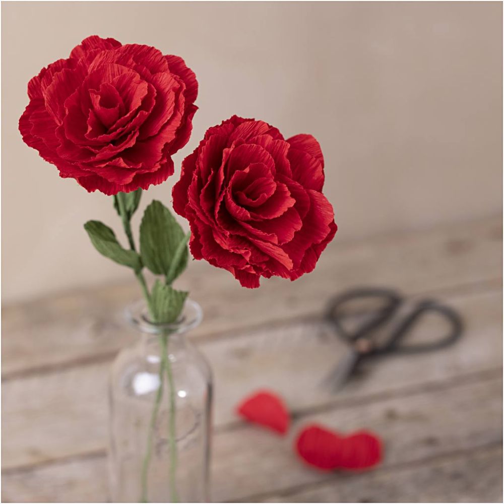 Hobbyset Crêpepapier Rozen