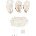 Hobbyset Kaarsen in Schelpen