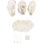Hobbyset Kaarsen in Schelpen