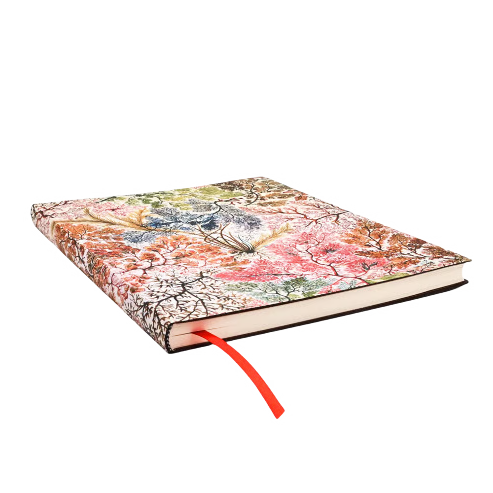 Journal Anemone
