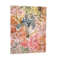 Journal Anemone
