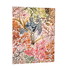 Journal Anemone