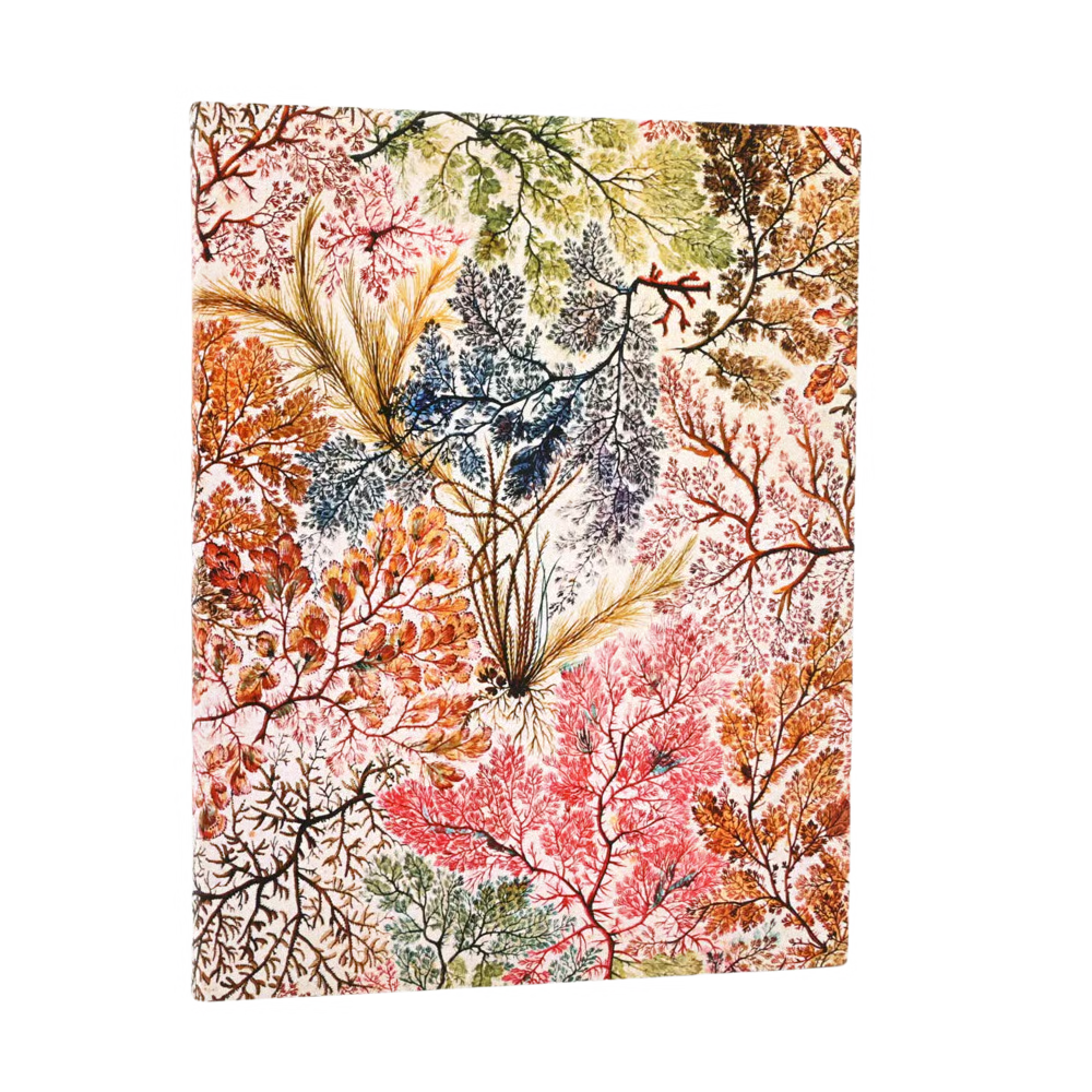 Journal Anemone