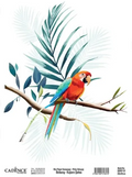 Birdsong Rijstpapier Papegaai