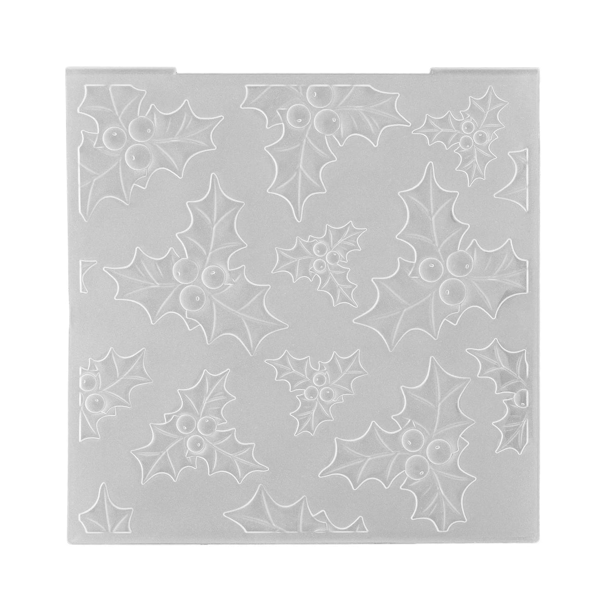 Embossing Folder Hulst