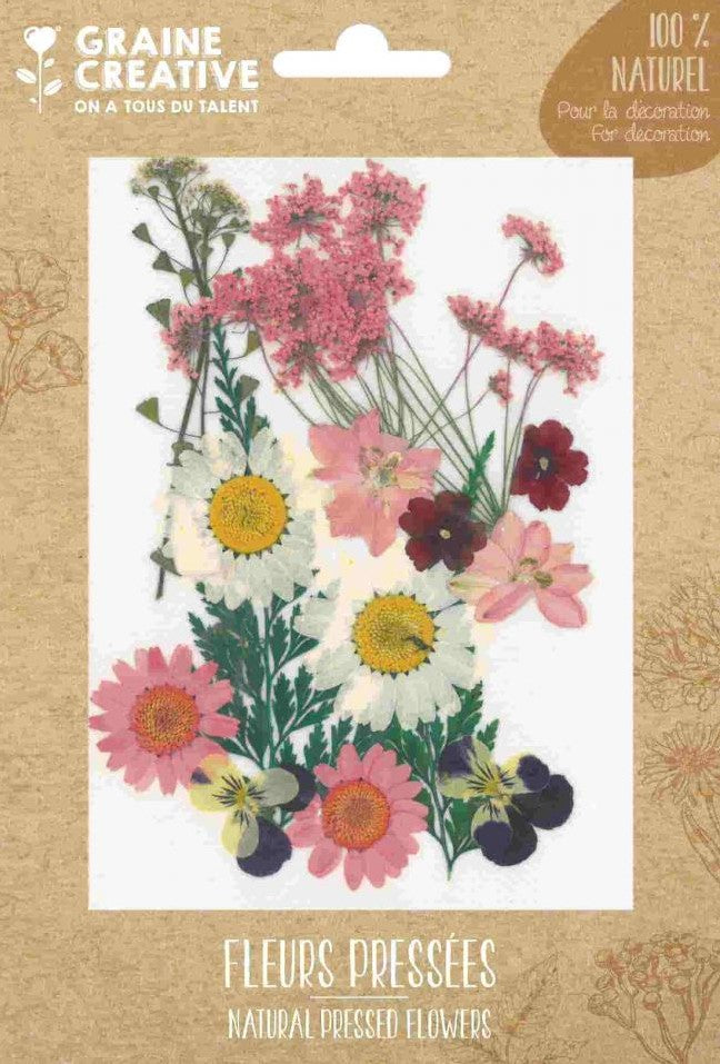 Gedroogde bloemen