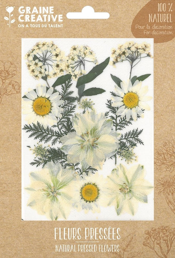 Gedroogde bloemen