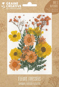 Gedroogde bloemen