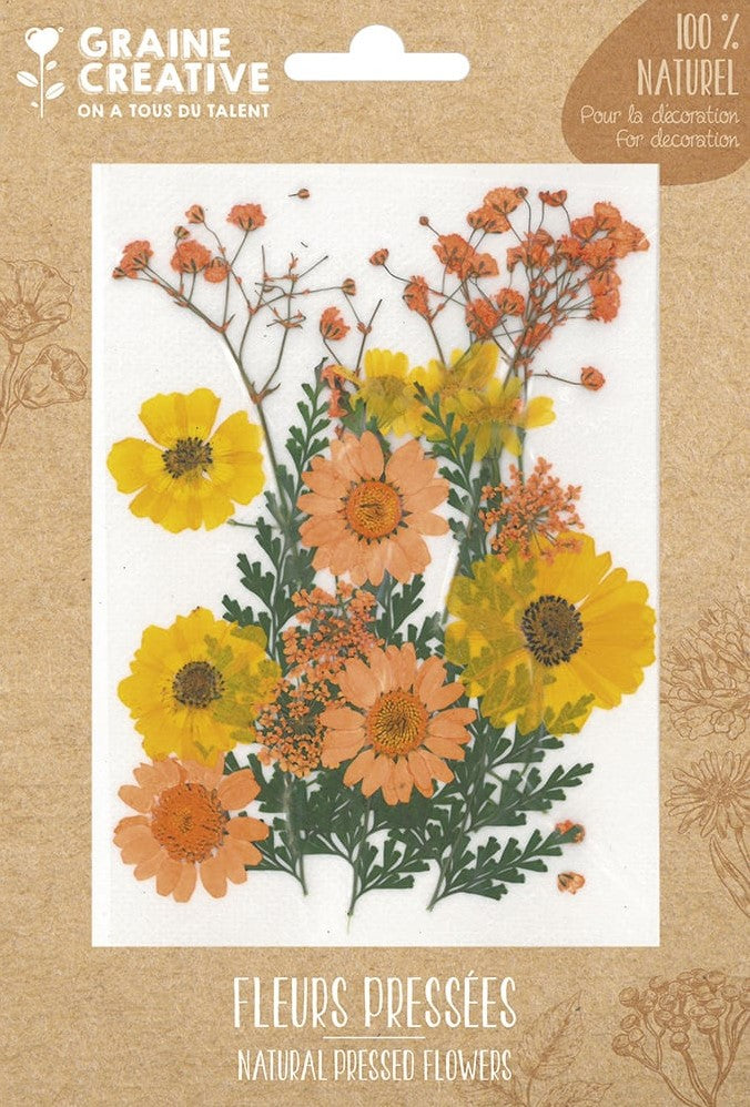 Gedroogde bloemen